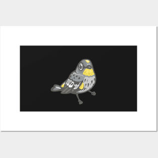 Yellow-Rumped Warbler Posters and Art